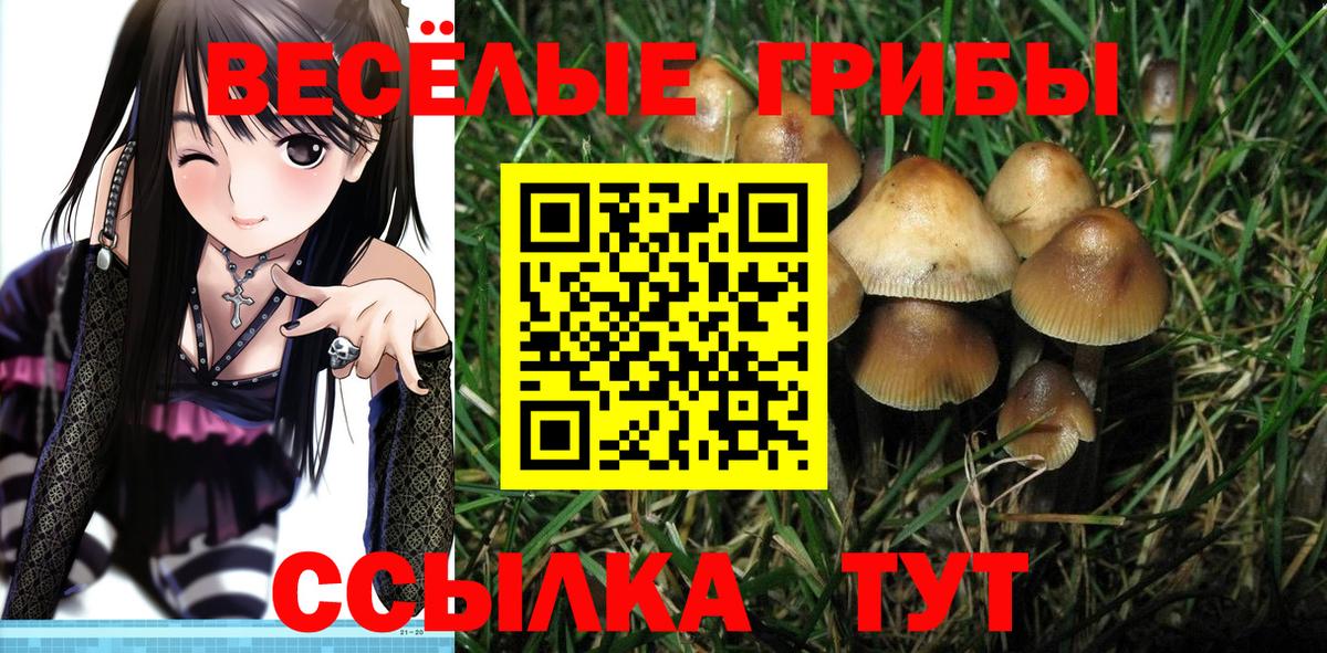 Псилоцибиновые грибы MAGIC MUSHROOMS Калининград