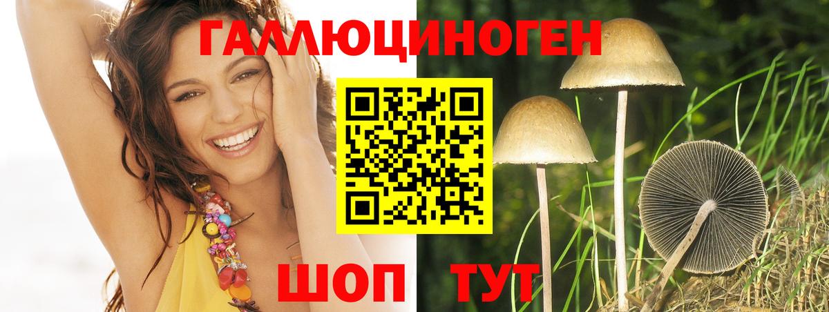 Калининград  МДМА  Вход с VPN  Меф МЯУ МЯУ   ГАШ  Бошки Шишки 