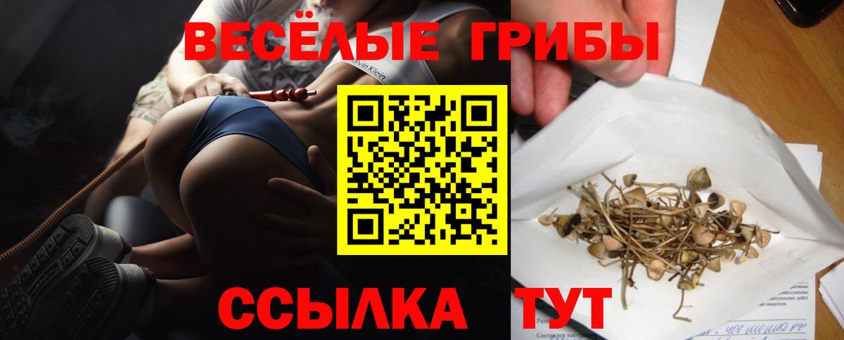 Калининград  Псилоцибиновые грибы GOLDEN TEACHER  Вход с VPN  Галлюциногенные грибы мухоморы 